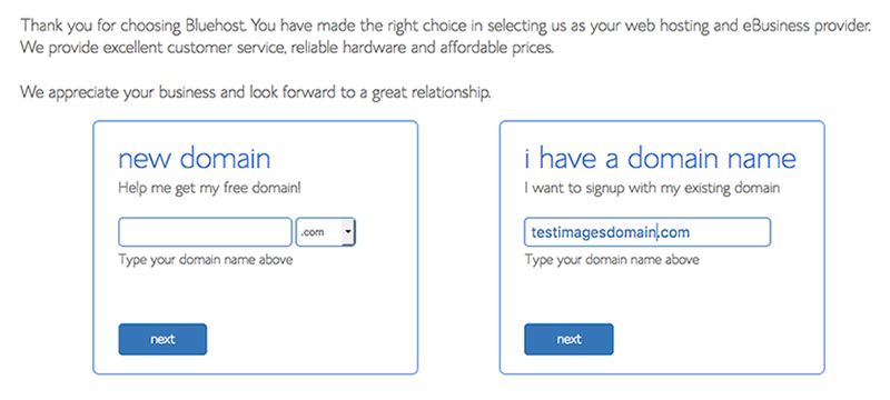 free domain name bluehost wordpress hosting